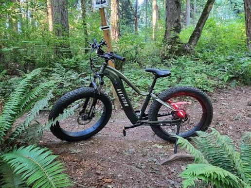Aventon Aventure 2 E-bike Bicycle