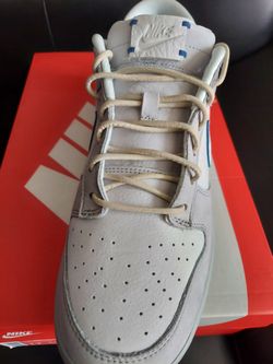 Nike Dunk Low Wolf 🐺 Grey Pure Platinum 