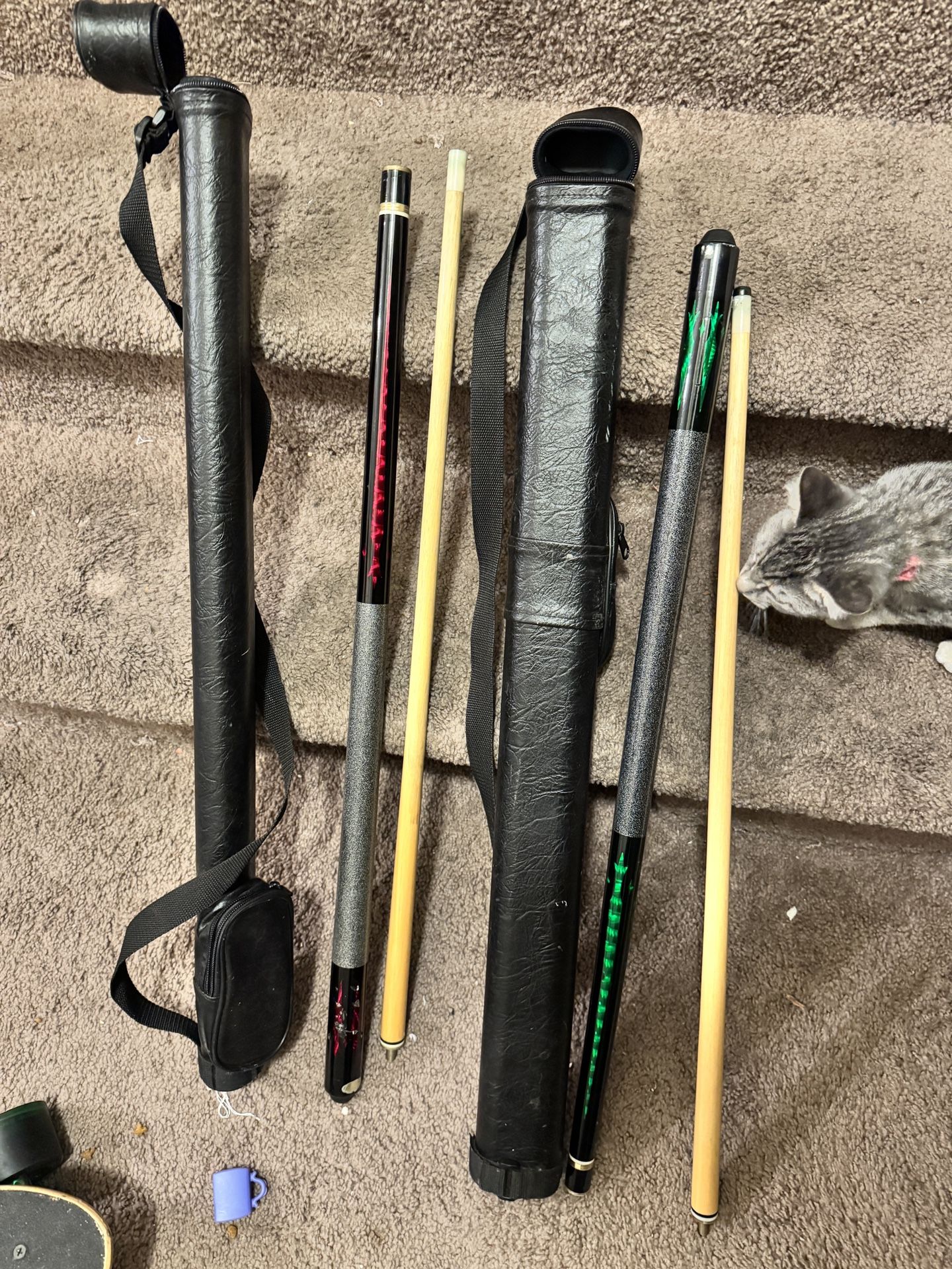 Two Pool Sticks With Carrying Case Included