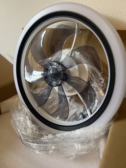 Ceiling Fan With Light