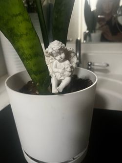 cherub Plant Angel Decoration