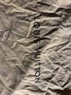 Louis Vuitton Shoe Bag