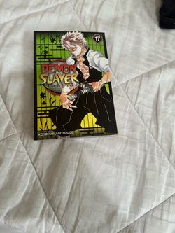 Demon slayer volume 17