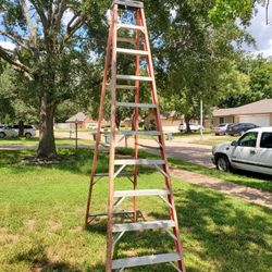 10ft Ladder 