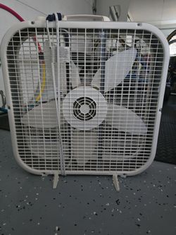 Fan