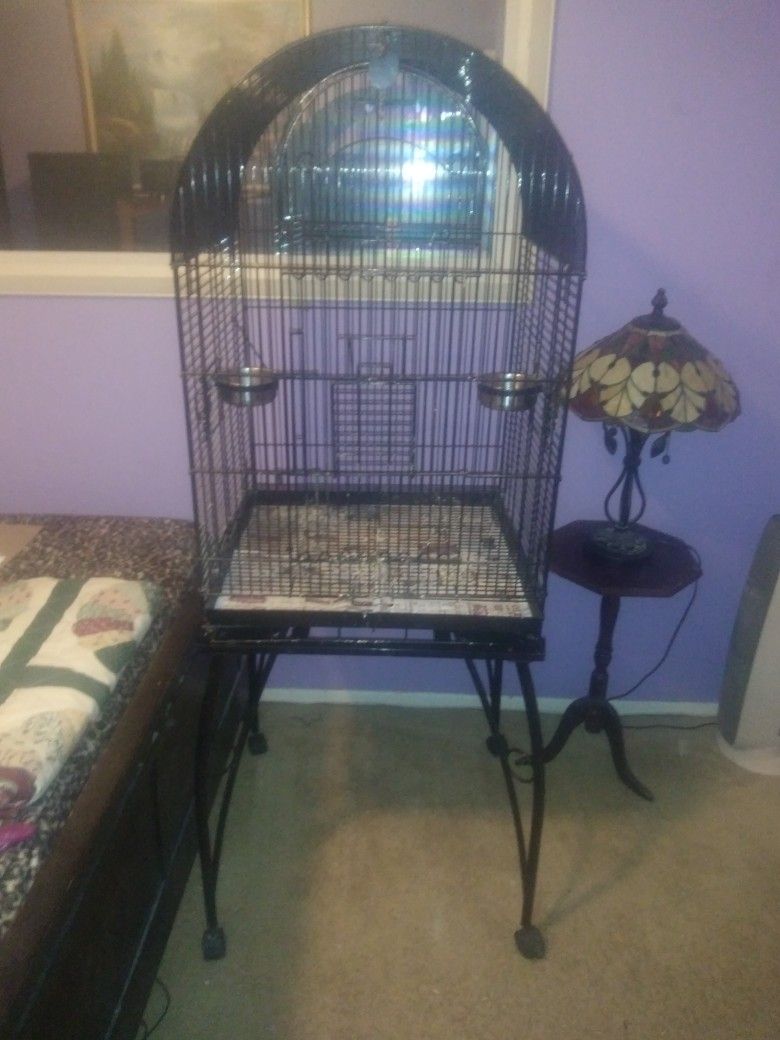 Bird Cage