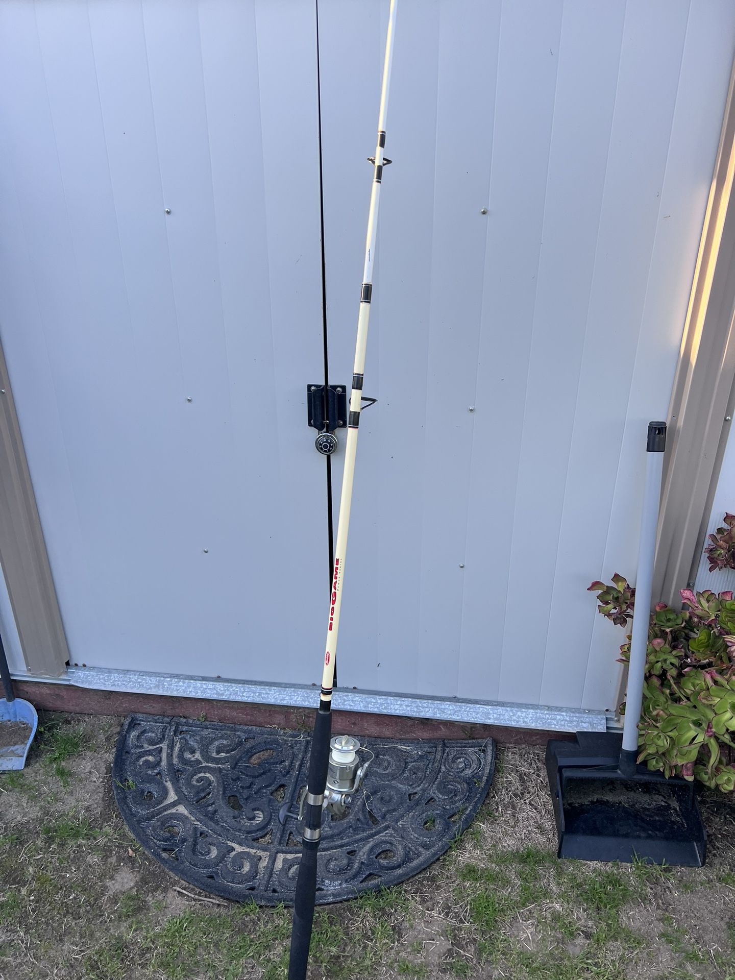 Berkley 8’ Big Game Fishing Rod and Shakespeare Contender Reel