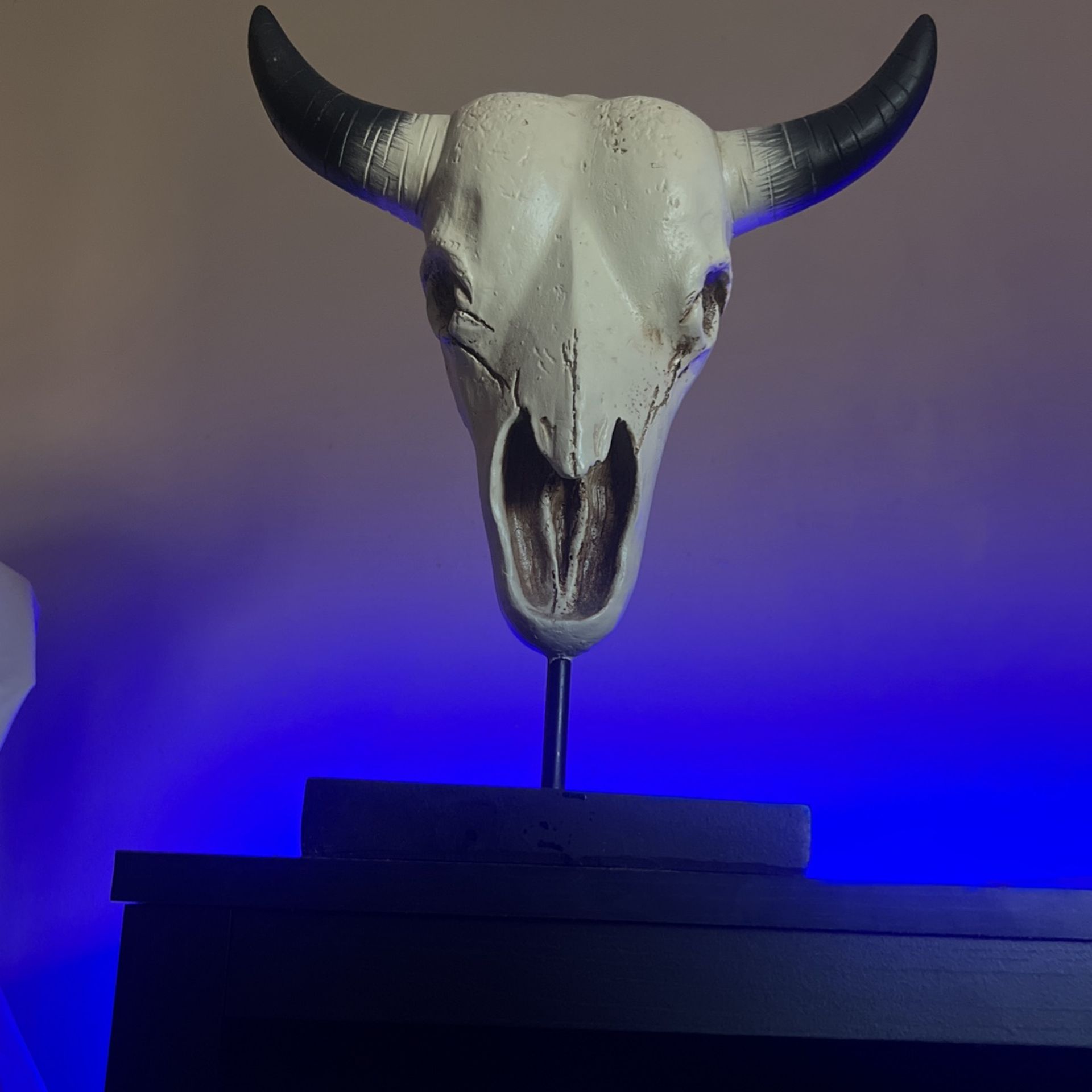 Tabletop Bull Head!!