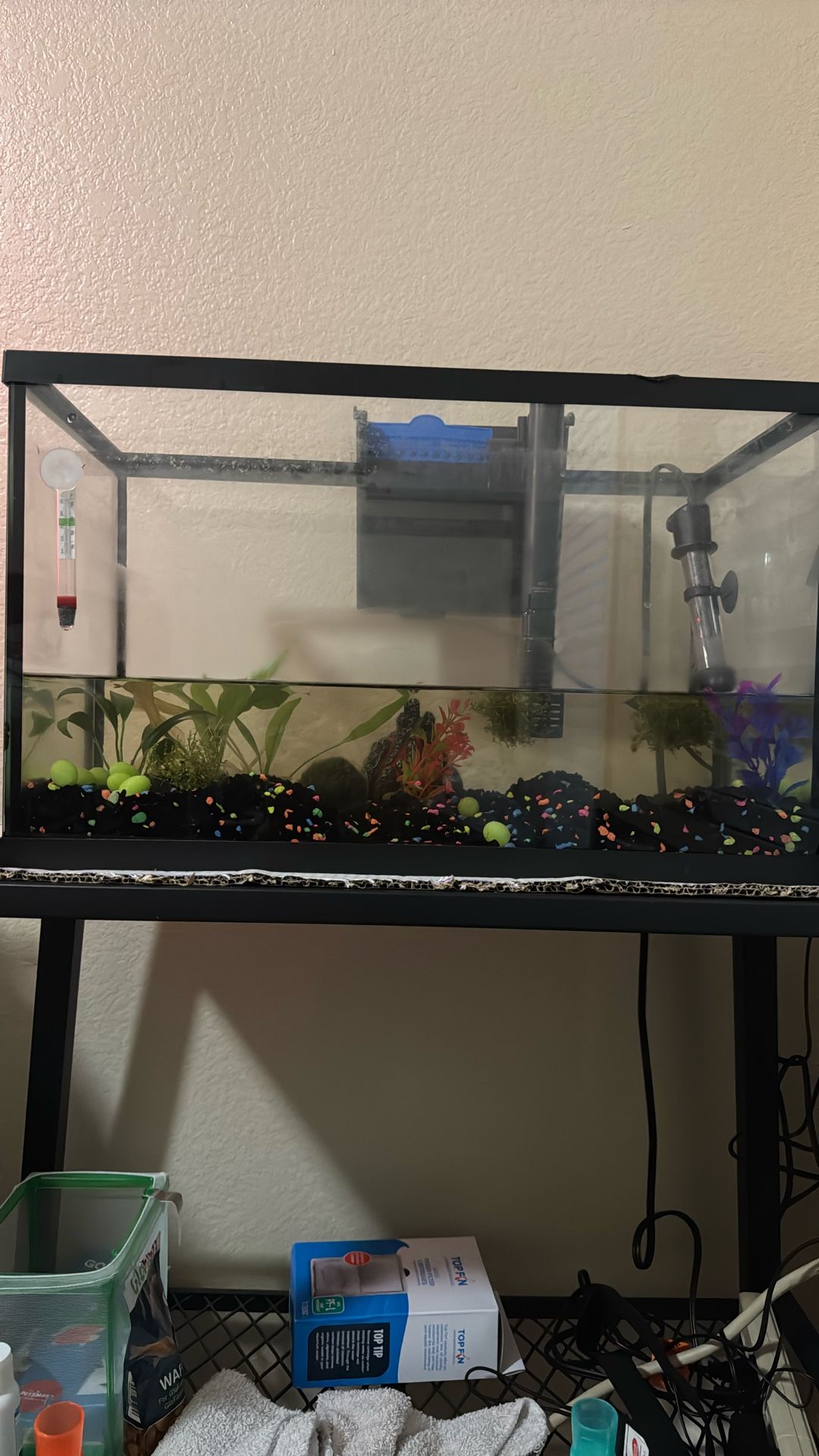 Complete 10 Gallon Fish Tank