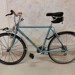 Raleigh Technium City Sport ' Frankenbike Grocery Getter' - 19.5"