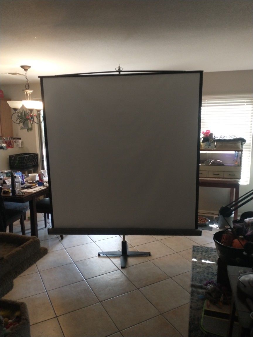 Huge Vintage Da-Lite Picture King Projector Screen