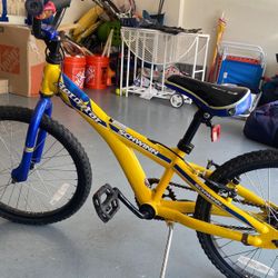 Schwinn Bike Aerostar