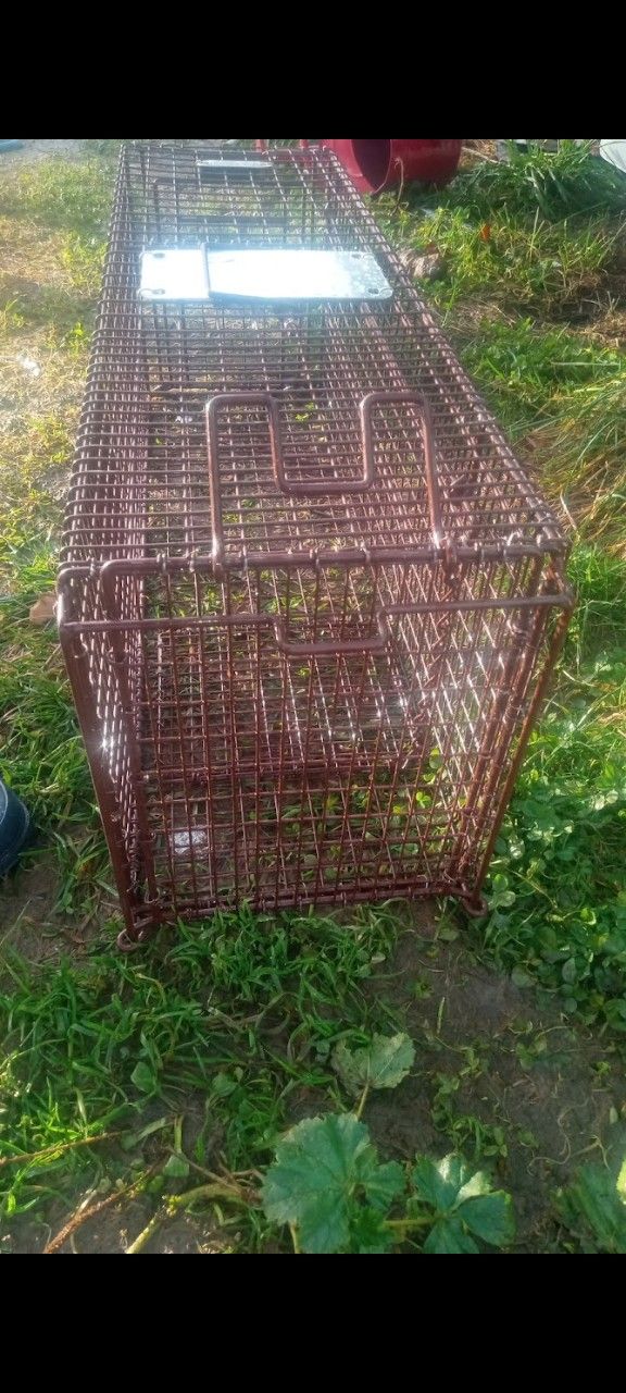 Wild Animal Trap Cage
