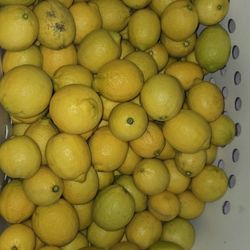 Fresh Lemons 15 For $5