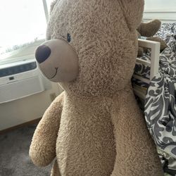 HUGE Teddy