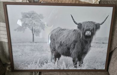 Highland cow, home decor, living room, farmhouse, cow, glass, wood