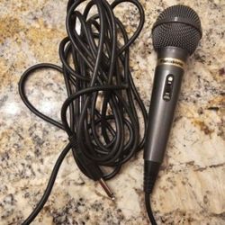 Panasonic Microphone 