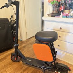 Electric Scooter, With Removable Seat