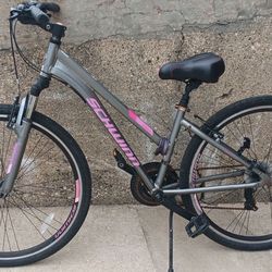28" Womens Bike