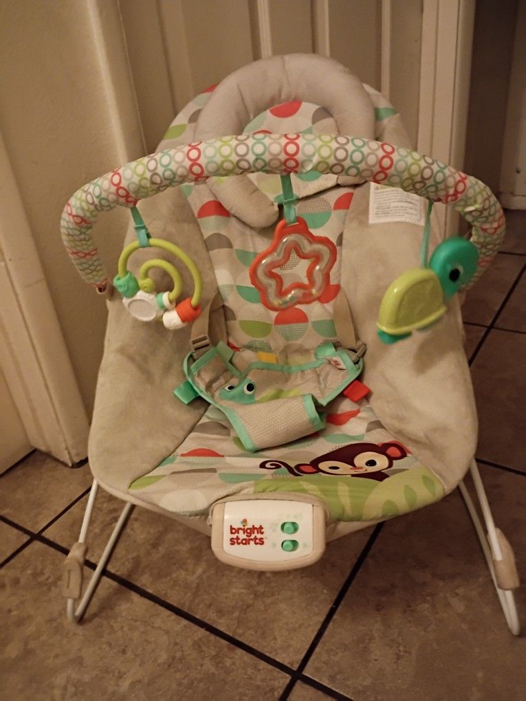 Baby Bouncer
