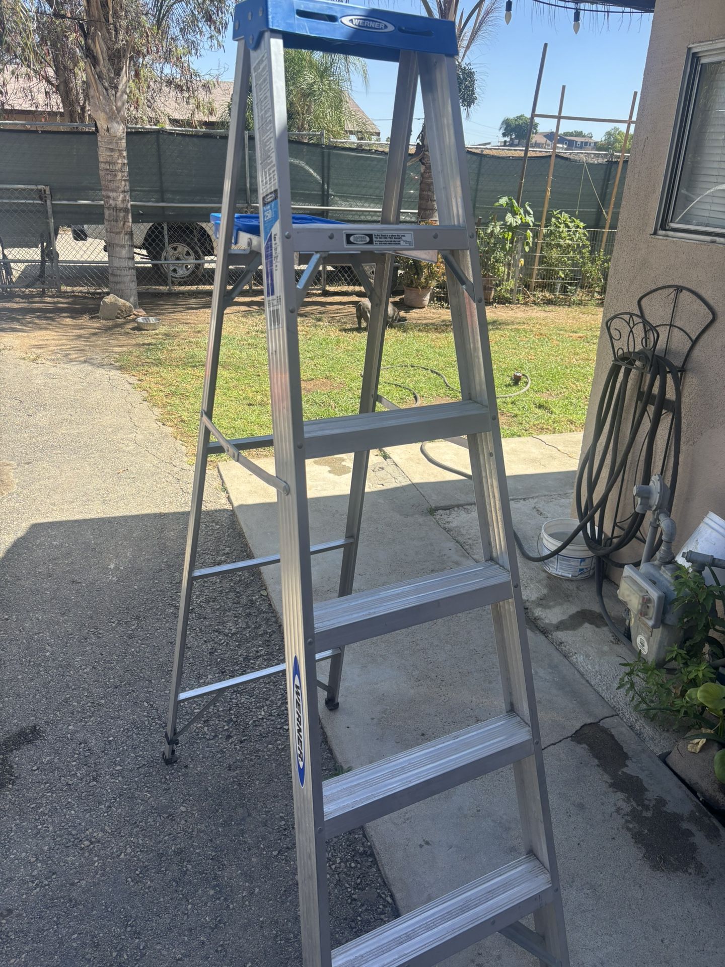 6’ Werner Ladder