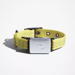Whistle Switch Smart Collar Kit  XS/Small