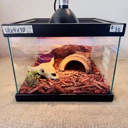 Reptile Habitat