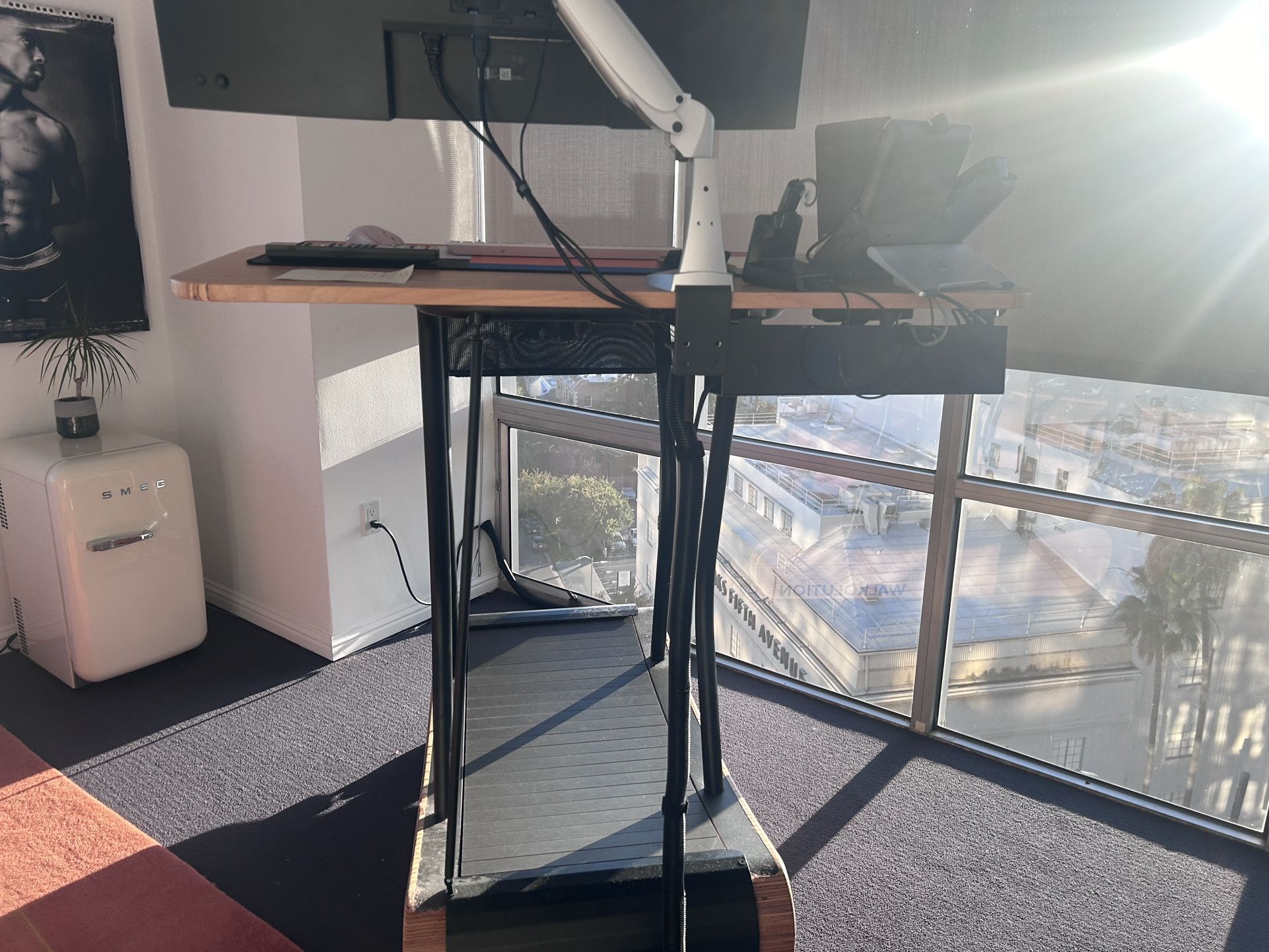 Walkolution Treadmill Desk