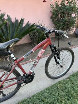 Diamondback Response Bike