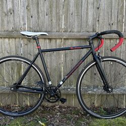 Coast cycles single speed road bike