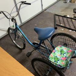 Teenager/adult Trike Bicycle 