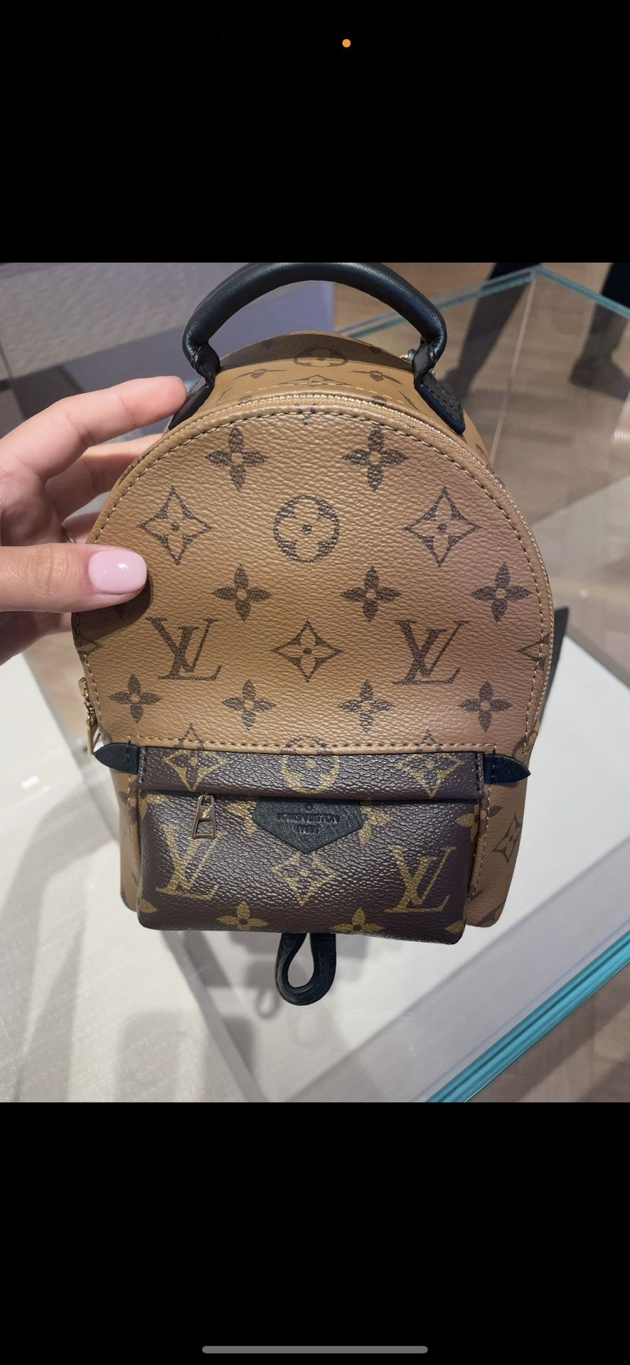 Louis Vuitton Palm Springs mini reverse monogram 