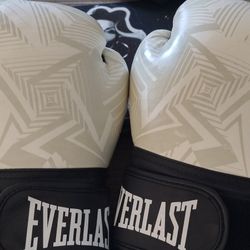 Everlast Boxing Gloves