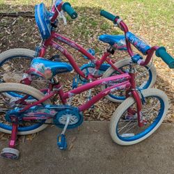 2 Girl Bike Pink 