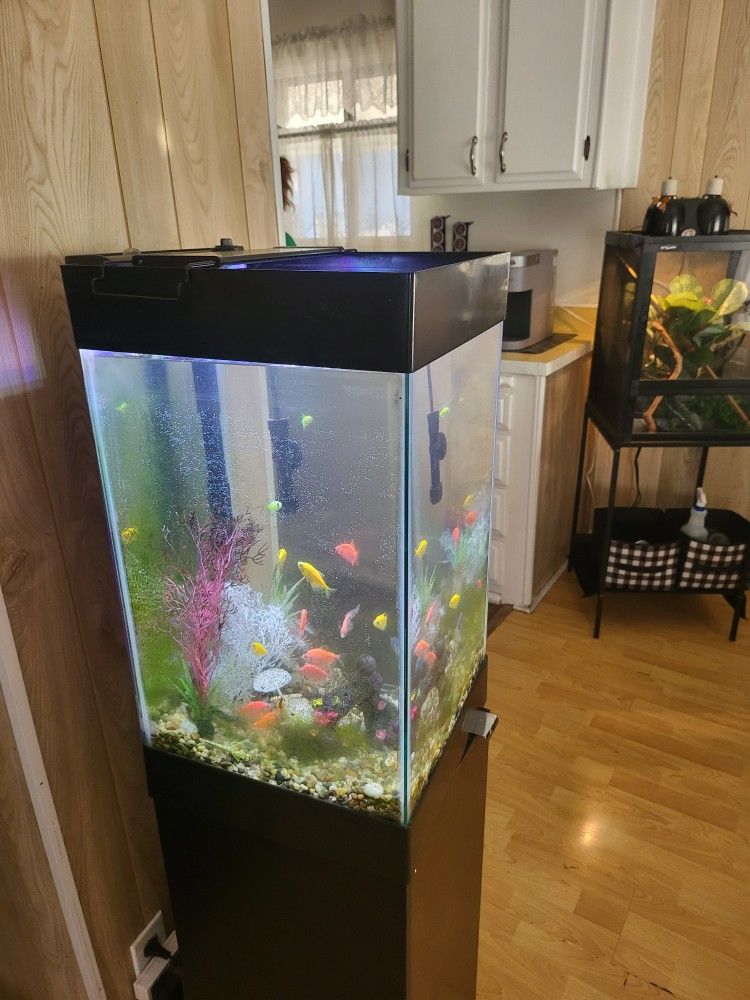 Aquirum / Fresh Water / 18 Gallons With Fishs