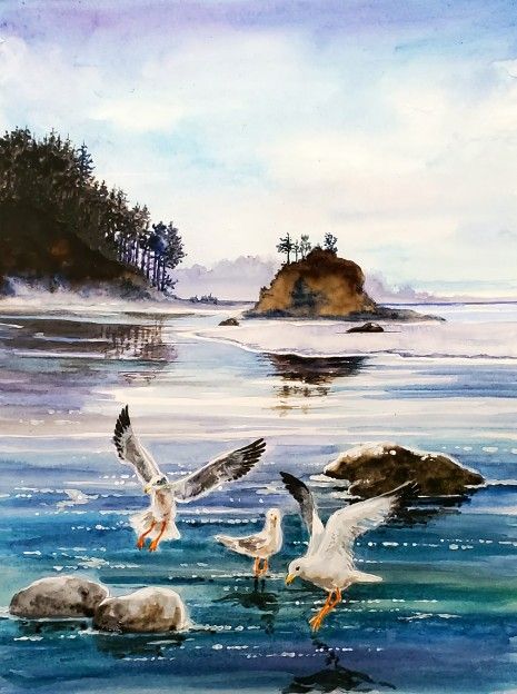 Olympic Peninsula