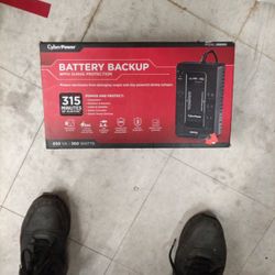 Battery Backup With Surge Protector