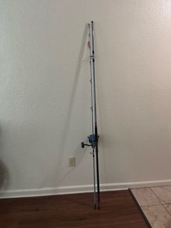 12ft surf rod team daiwa