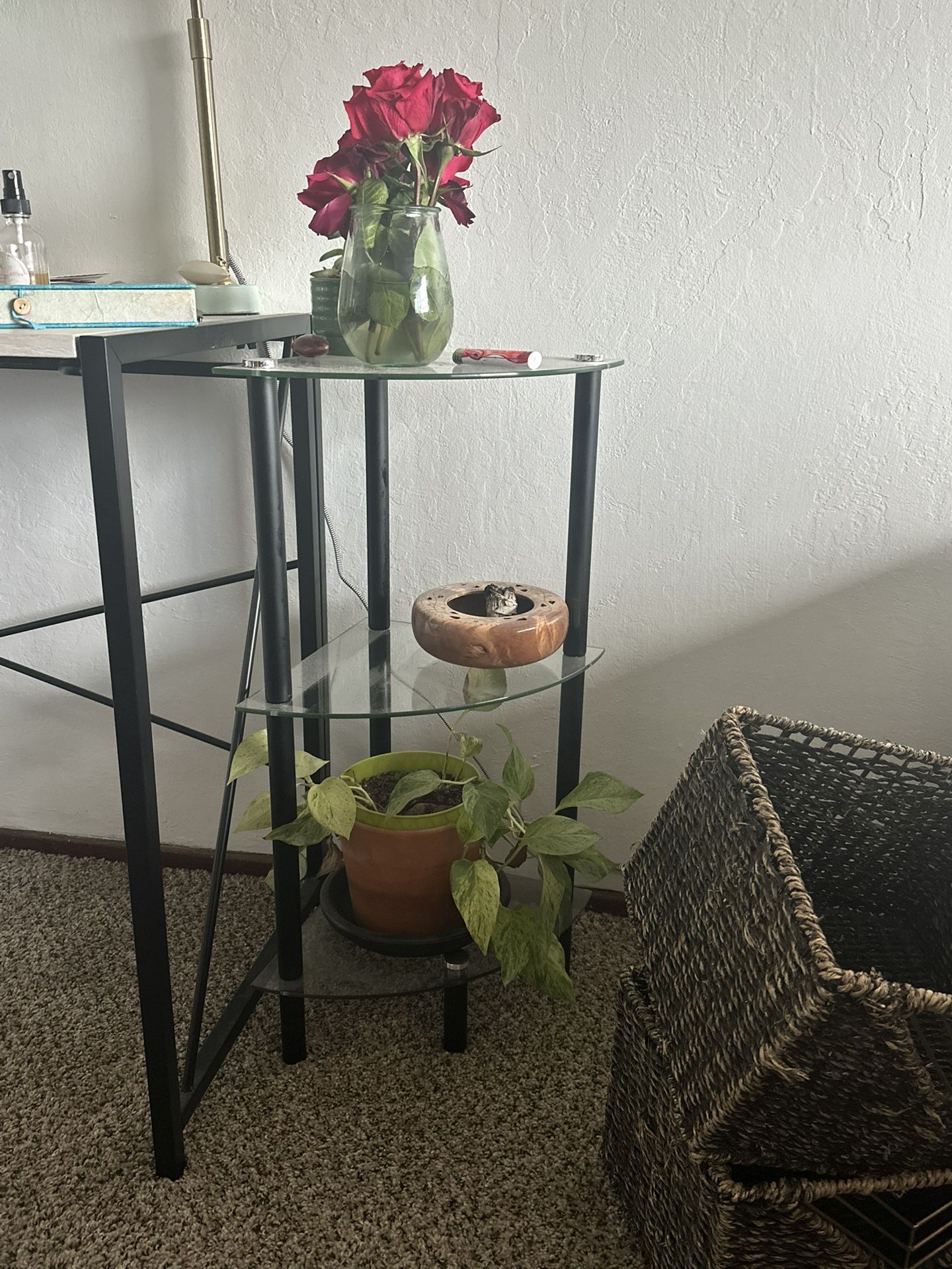 Glass Shelves