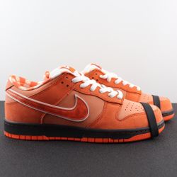Dunk Women’s Sneaker With Box 2026 New