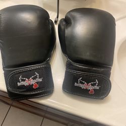 Boxing Gloveslike New
