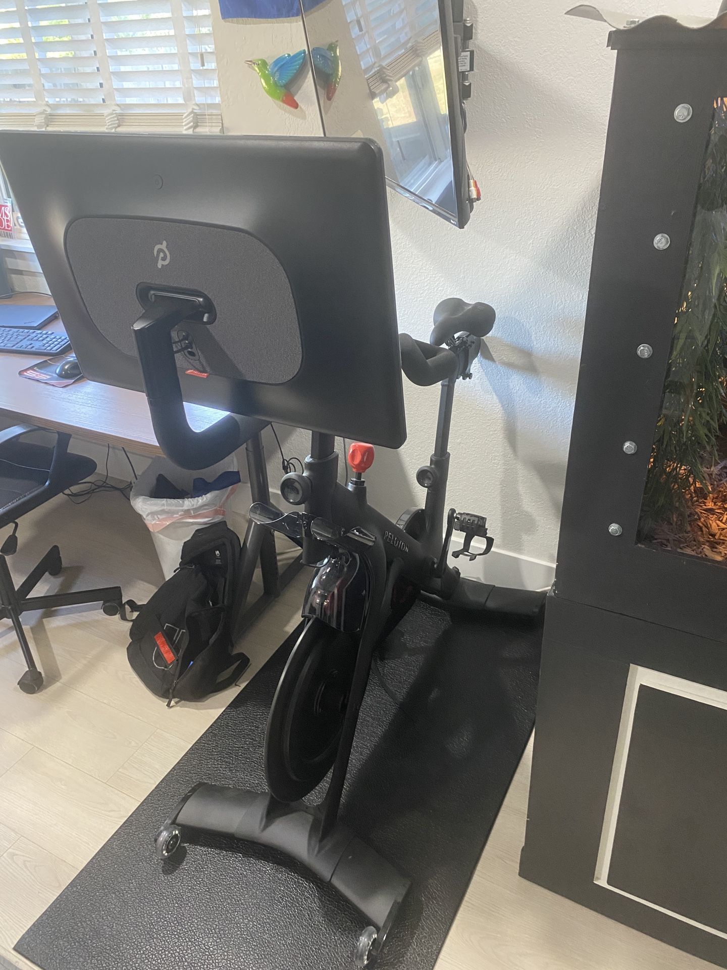 Peloton Bike Plus
