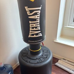 Everlast POWERCORE FREESTANDING HEAVY PUNCHING BAG (retail price $229.99 at https://offerup.com/redirect/?o=d3d3LmV2ZXJsYXN0LmNvbQ==)