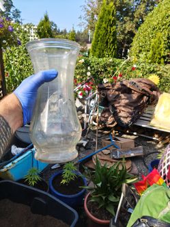 Glass vase