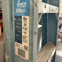 Werner 6 ft Fiberglass Step Ladder (250 lb Capacity) – Used