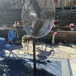 indoor/outdoor industrial fan