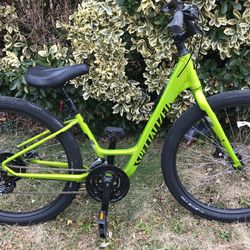 Specialized Roll Beauty!!! Shimano Components Disc Brakes Brand New Condition 