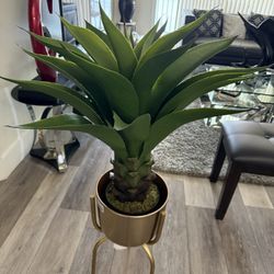 Pretty Artificial Plant ( Snake Plant) With Pot  Removable Stand ( Brand New)    