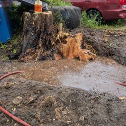 Free Huge Tire 