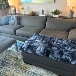 Room and Board Couch 